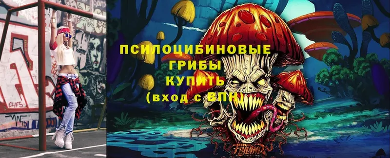 Галлюциногенные грибы Cubensis  Правдинск 